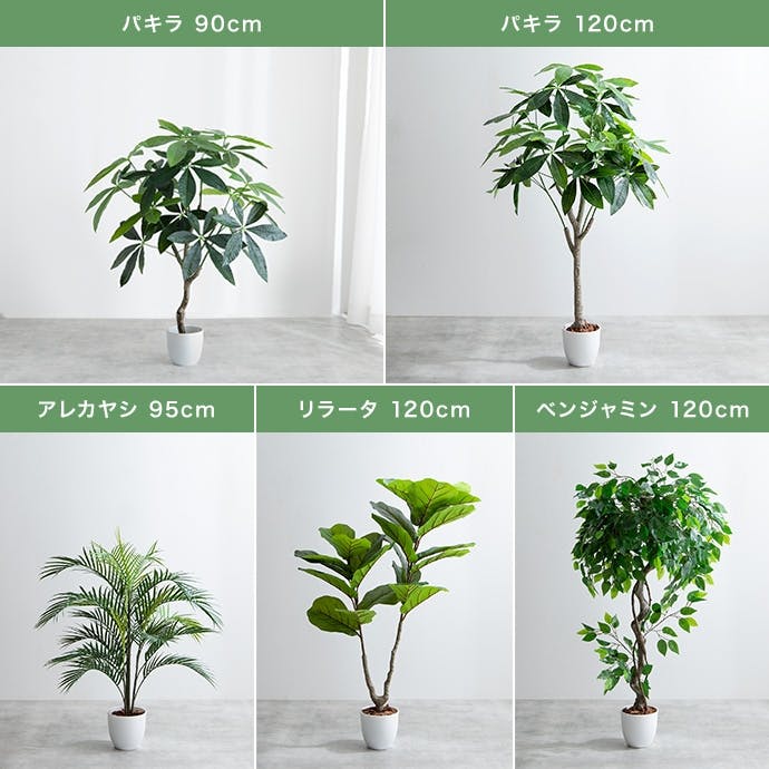 高さ120cm】Nature 光触媒人工観葉植物 パキラ／色：グリーン 【送料