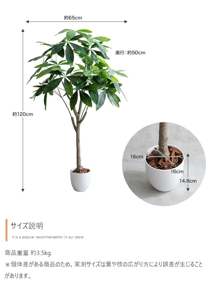 高さ120cm】Nature 光触媒人工観葉植物 パキラ／色：グリーン 【送料