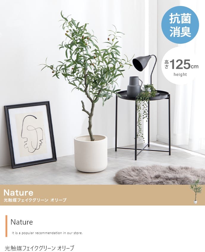高さ125cm】Nature 光触媒人工観葉植物 オリーブ／色：グリーン 【送料