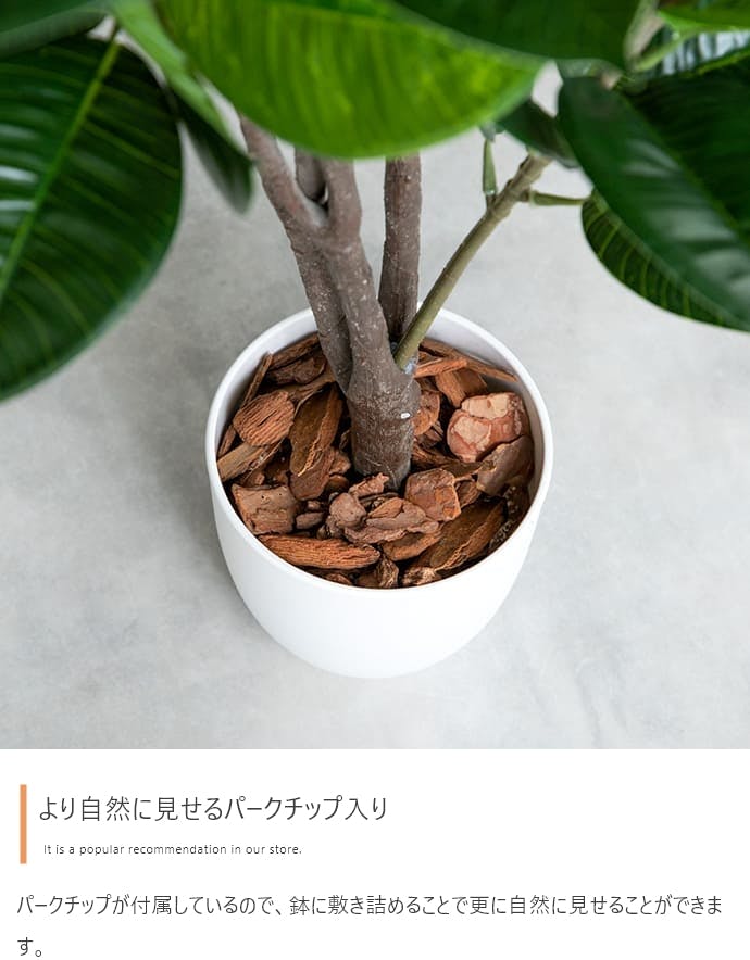高さ125cm】Nature 光触媒人工観葉植物 オリーブ／色：グリーン 【送料