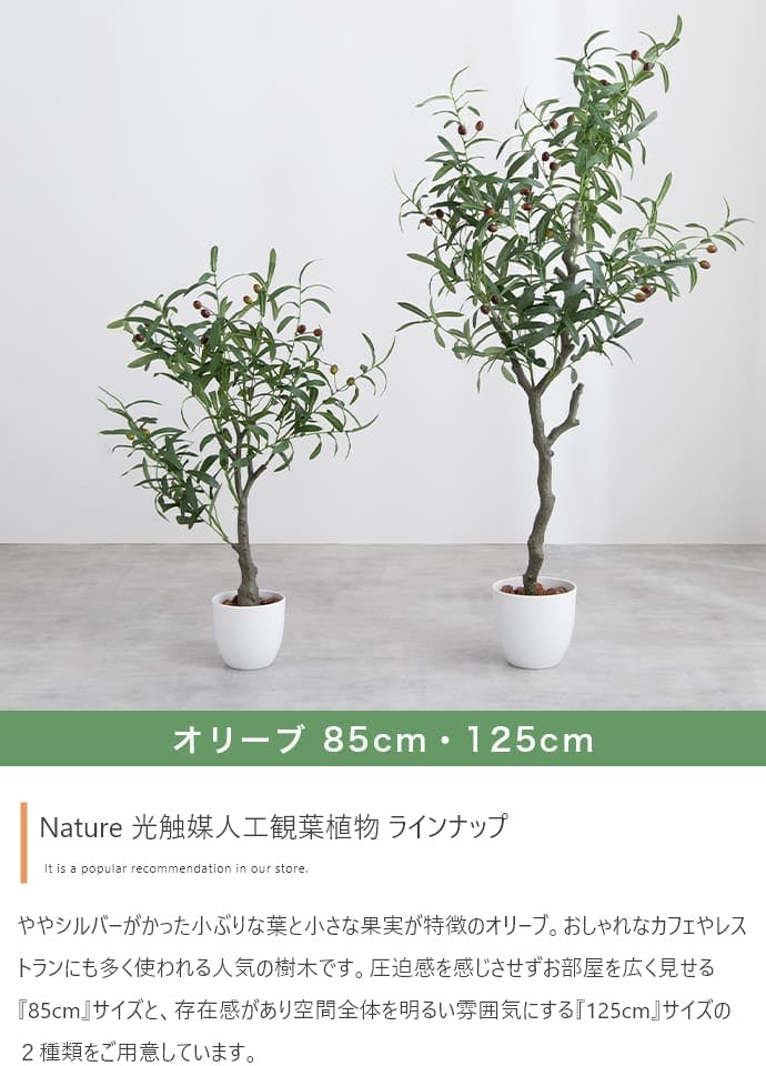 高さ125cm】Nature 光触媒人工観葉植物 オリーブ／色：グリーン 【送料