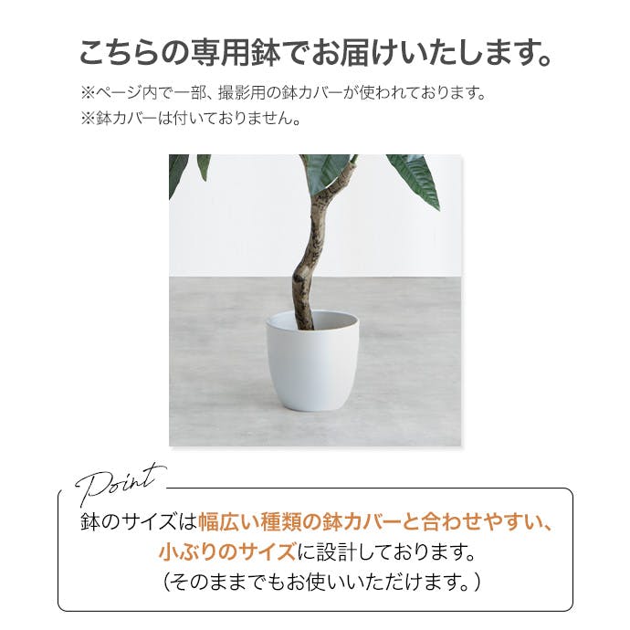 高さ125cm】Nature 光触媒人工観葉植物 オリーブ／色：グリーン 【送料