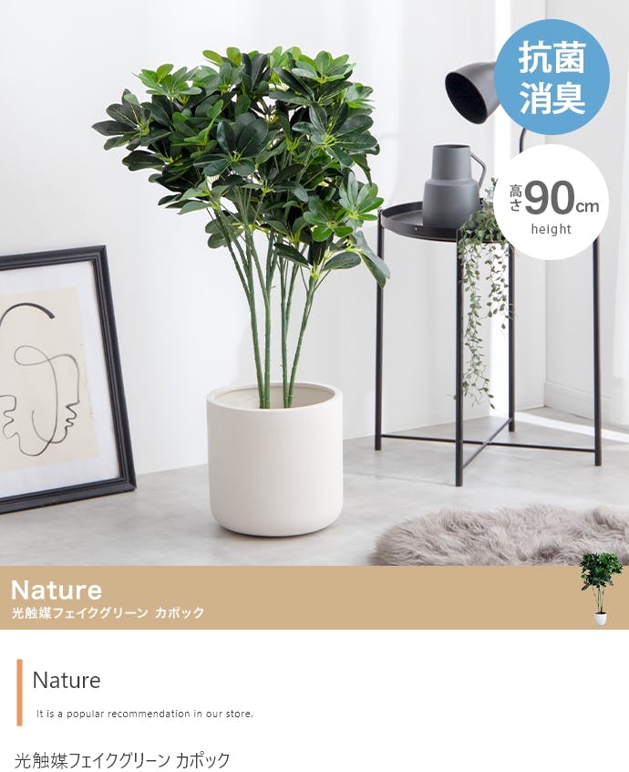 高さ90cm】Nature 光触媒人工観葉植物 カポック／色：グリーン 【送料