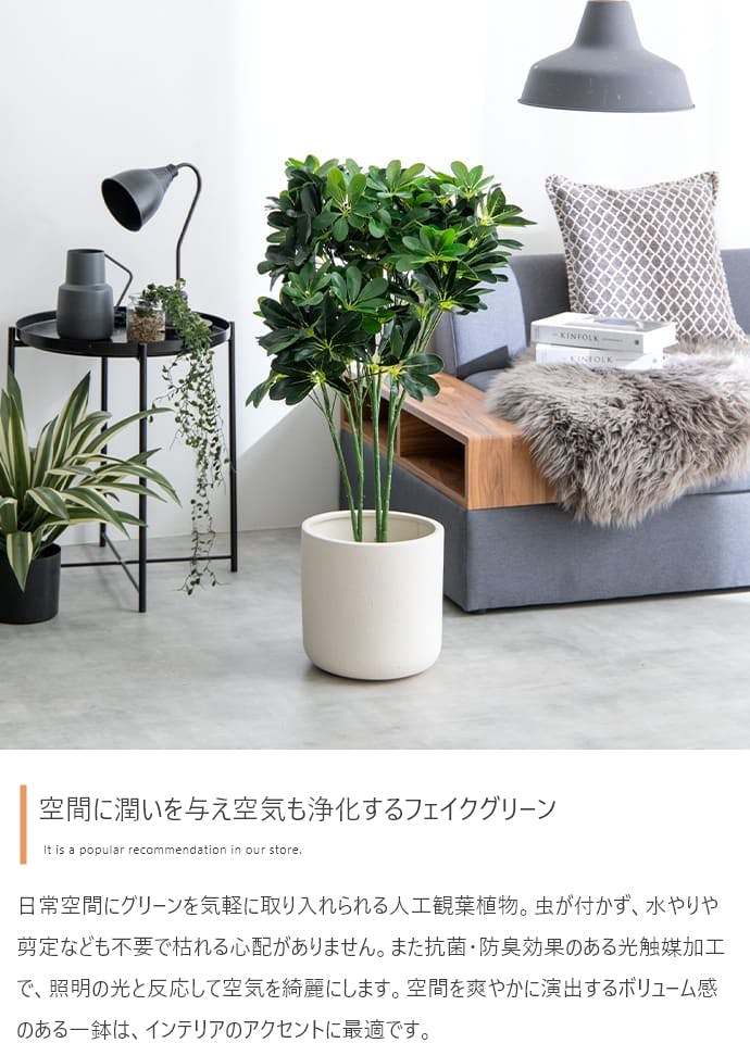 高さ90cm】Nature 光触媒人工観葉植物 カポック／色：グリーン 【送料