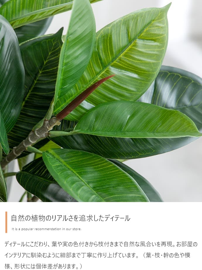 高さ90cm】Nature 光触媒人工観葉植物 カポック／色：グリーン 【送料