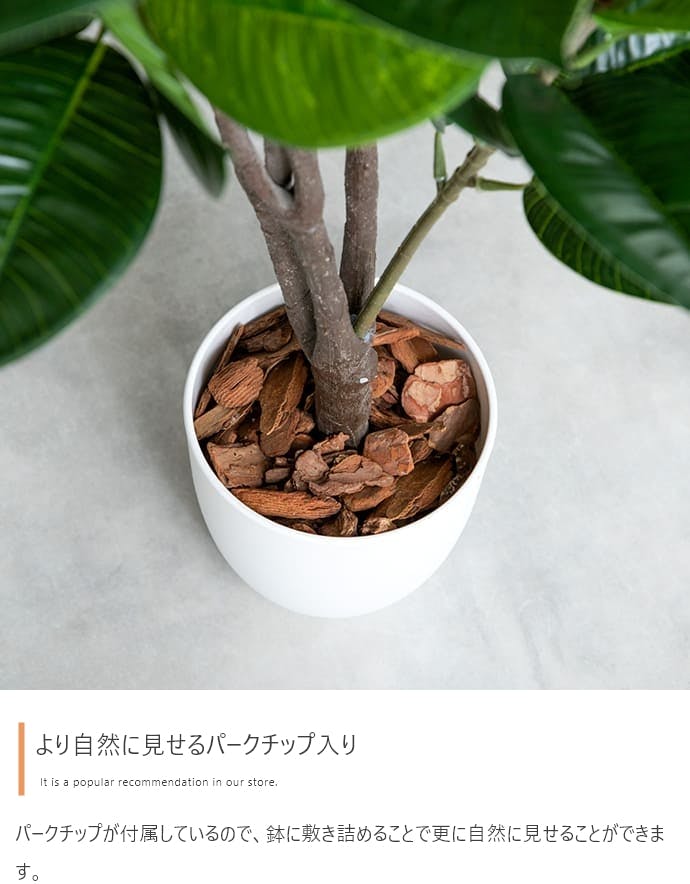 高さ90cm】Nature 光触媒人工観葉植物 カポック／色：グリーン 【送料