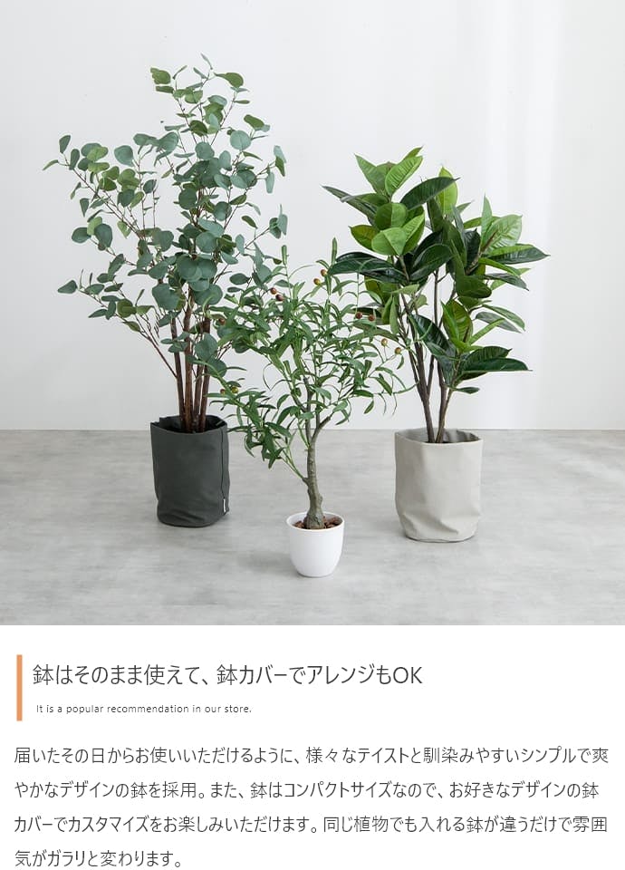 高さ90cm】Nature 光触媒人工観葉植物 カポック／色：グリーン 【送料