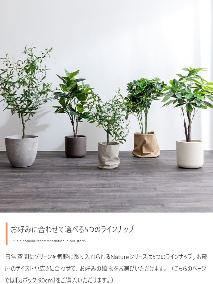 高さ90cm】Nature 光触媒人工観葉植物 カポック／色：グリーン 【送料