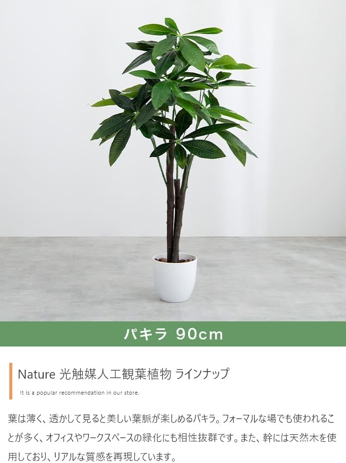 高さ90cm】Nature 光触媒人工観葉植物 カポック／色：グリーン 【送料