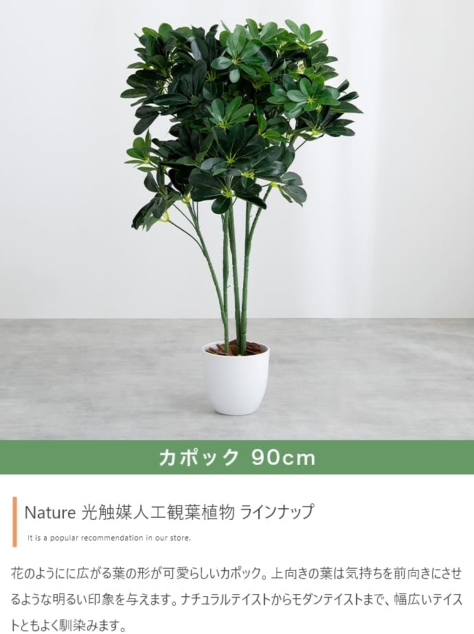 高さ90cm】Nature 光触媒人工観葉植物 カポック／色：グリーン 【送料