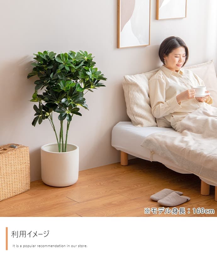 高さ90cm】Nature 光触媒人工観葉植物 カポック／色：グリーン 【送料