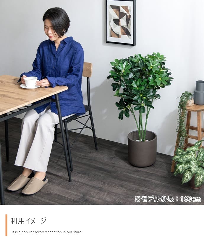 高さ90cm】Nature 光触媒人工観葉植物 カポック／色：グリーン 【送料