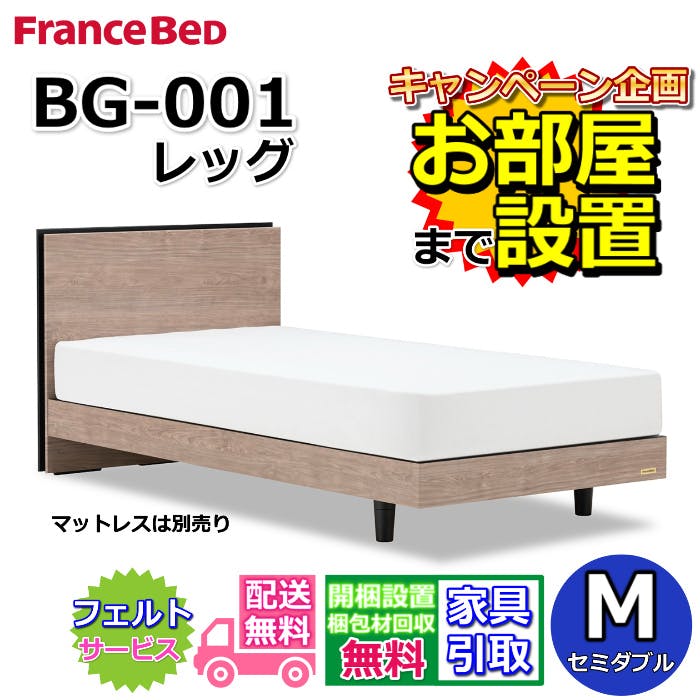 フランスベッド BG-001 LG セミダブル 【開梱組み立て設置無料