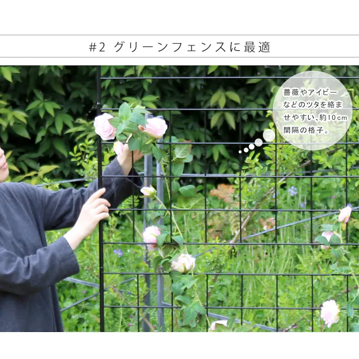アイアンフェンス 高さ176 2枚組 フェンス スチール アイアン ラティス トレリス ガーデンフェンス ガーデニング 誘引 つる 薔薇 バラ 朝顔 園芸 ラティス トレリス 屋外