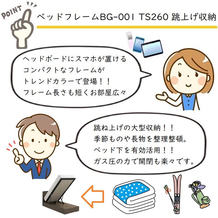 フランスベッド BG-001 260TSダブル 【開梱組み立て設置無料】 跳ね