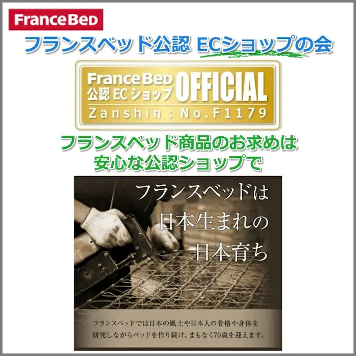 フランスベッド BG-001 260TSダブル 【開梱組み立て設置無料】 跳ね上げベッド 充電可能な コンセント付き