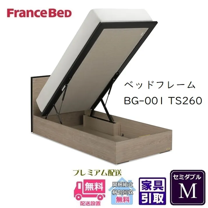 フランスベッド BG-001 260TSセミダブル 【開梱組み立て設置無料】 跳ね上げベッド 充電可能な コンセント付き