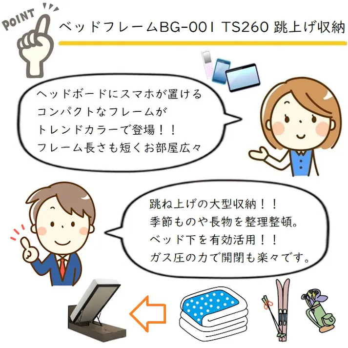 フランスベッド BG-001 260TSセミダブル 【開梱組み立て設置無料】 跳ね上げベッド 充電可能な コンセント付き