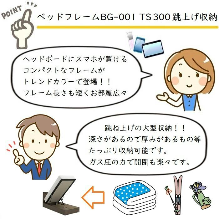 フランスベッド BG-001-300TSダブル 【開梱組み立て設置無料】 跳ね