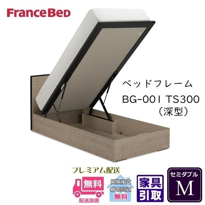 フランスベッド BG-001-300TS セミダブル 【開梱組み立て設置無料