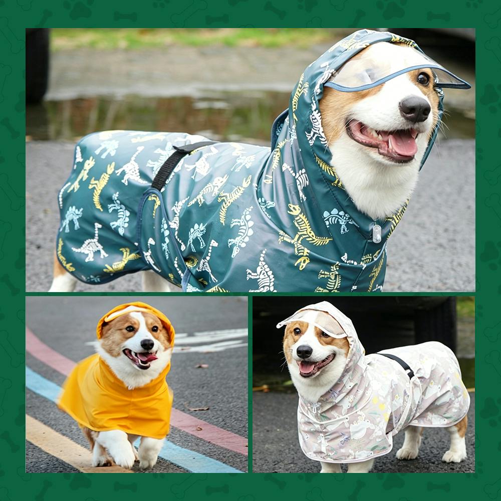 犬 レインコート 犬用傘 完全防水 着せやすい こーひ 速乾ショール