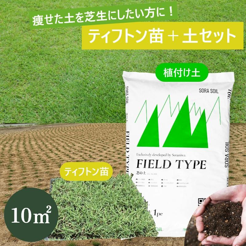 （残り7ケース）ティフトン芝生　108苗（6×6トレー3つ） 10平米分］ティフトン芝 安心スターターセット（苗＋専用土） ソラニワ