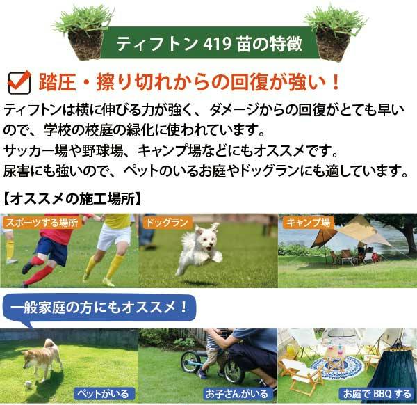 120平米分］ティフトン芝 安心スターターセット（苗＋専用土