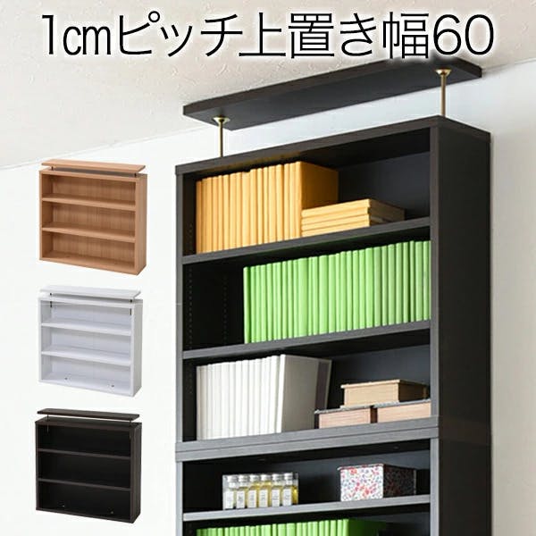 1cmピッチ 薄型 大容量 文庫本ラック 上置き 幅60 本棚 壁面収納