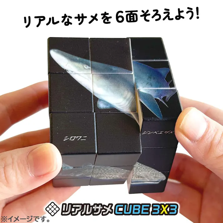 【2点まとめ買い】リアルサメ CUBE 3×3(キューブ スリーバイスリー) 1個入 × 2点 リアルなサメを6面そろえよう! 背景が黒いから、難易度も高い・・・!? 【送料込み】
