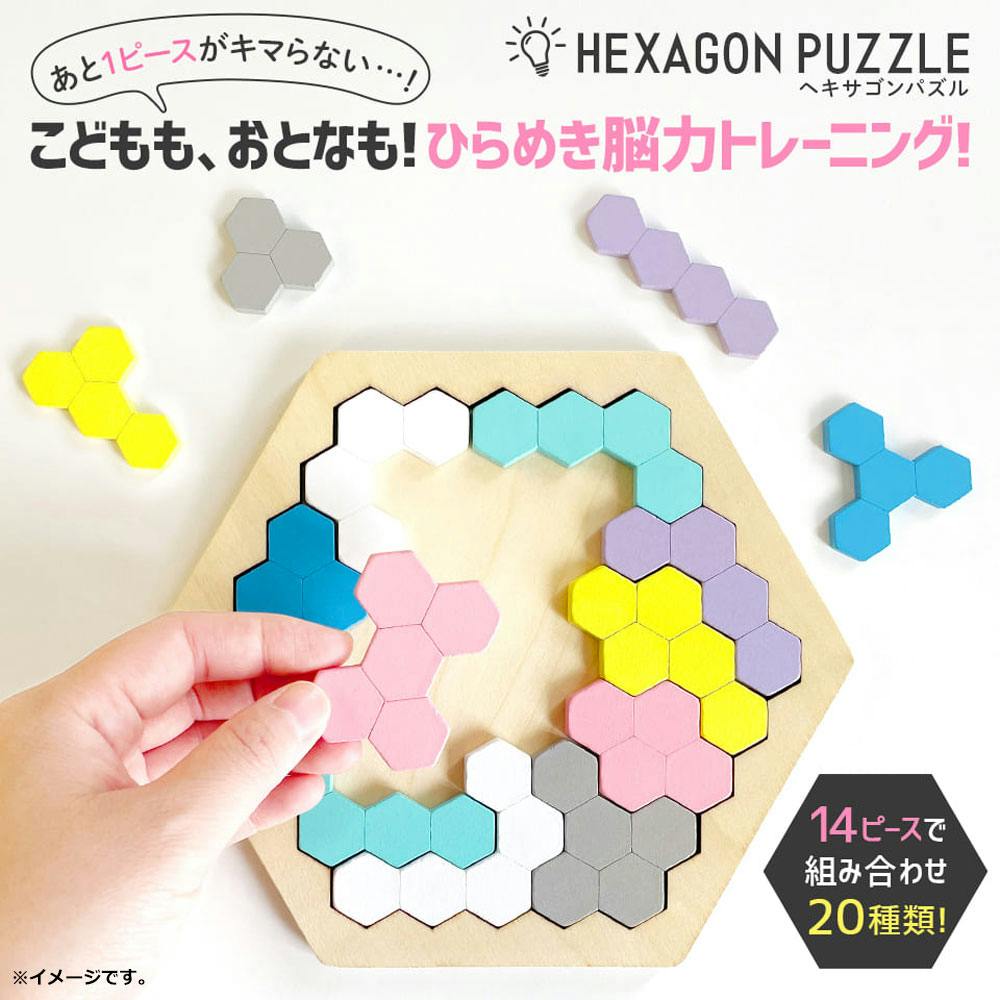 木製！ ひらめき 図形パズル HEXAGON PUZZLE(ヘキサゴンパズル) × 1点