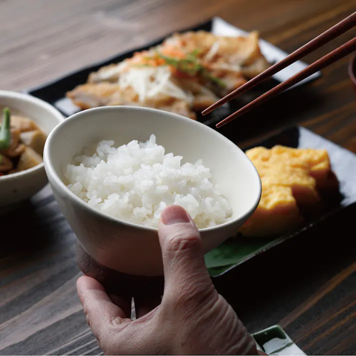 炊飯器 一升炊き 加楽炊き 10合 マイコン式 炊飯ジャー お茶碗約22杯分を炊飯可能 大容量 早炊き 予約 保温 再加熱 スチーム調理 マイコン炊飯ジャー マイコン式炊飯器 炊飯機 ROOMMATE ルームメイト RM-223H