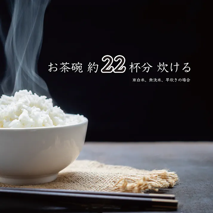 炊飯器 一升炊き 加楽炊き 10合 マイコン式 炊飯ジャー お茶碗約22杯分を炊飯可能 大容量 早炊き 予約 保温 再加熱 スチーム調理 マイコン炊飯ジャー マイコン式炊飯器 炊飯機 ROOMMATE ルームメイト RM-223H