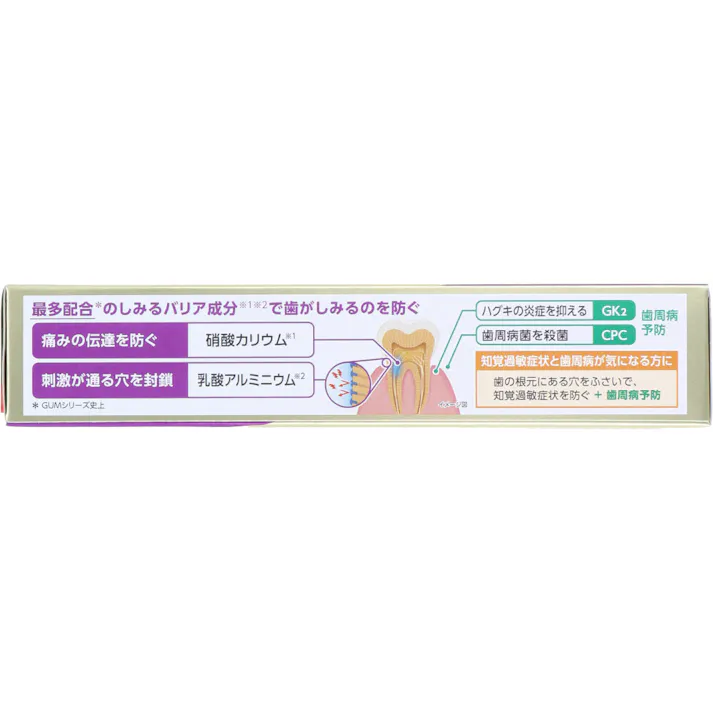 【3点まとめ買い】GUM ガム・プレミアム デンタルペースト 知覚過敏ケア リフレッシュシトラス 90g × 3点 知覚過敏ケア 歯がしみるのを防ぐ 最多配合※のしみるバリア成分で歯がしみるのを防ぐ。 【送料込み】