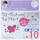 【10点まとめ買い】クローゼットのカビ ちょうキレイ 1個入 × 10点 フックでパイプに掛けるだけ! 抗菌・防カビ!こもった臭気を撃退! 【送料込み】