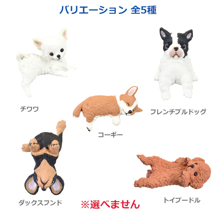 【5点まとめ買い】フィギュア ふちやすみ いろいろわんこ BOX 1個入 × 5点 仔犬らしいあどけないポーズがキュートです! ちっちゃかわいい色々な犬種の仔犬たちが「ふち」を使ってひとやすみ・・・。 【送料込み】