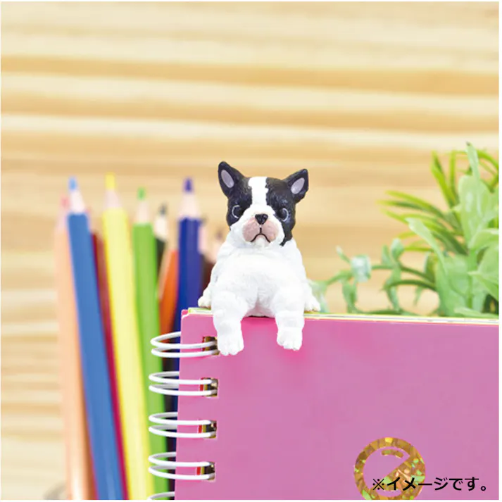 【5点まとめ買い】フィギュア ふちやすみ いろいろわんこ BOX 1個入 × 5点 仔犬らしいあどけないポーズがキュートです! ちっちゃかわいい色々な犬種の仔犬たちが「ふち」を使ってひとやすみ・・・。 【送料込み】
