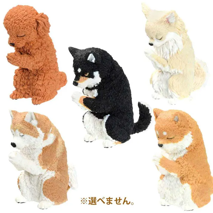 【5点まとめ買い】フィギュア 合掌 匠 犬拝 BOX 1個入 × 5点 大人気の合掌シリーズの犬だけのアソート! 犬好きにはたまりません♪ 犬たちが両手を合わせ目を閉じるというシュールさが人気のフィギュア「合掌」。 【送料込み】
