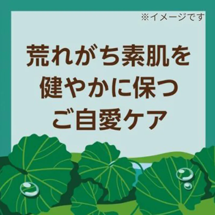 【3点まとめ買い】ペリカンファミリー石鹸 CICA グリーンハーブの香り 80g×2個入 × 3点 健やかに洗い上げ、肌荒れを防ぐ。 お肌を労わって洗う、整肌成分CICA※ 配合石鹸。 【送料込み】