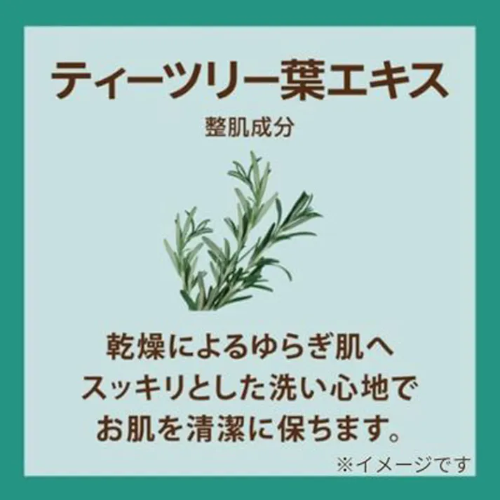 【3点まとめ買い】ペリカンファミリー石鹸 CICA グリーンハーブの香り 80g×2個入 × 3点 健やかに洗い上げ、肌荒れを防ぐ。 お肌を労わって洗う、整肌成分CICA※ 配合石鹸。 【送料込み】