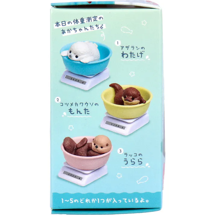 【10点まとめ買い】フィギュア 今日も、すくすく成長中! -水族館編- 1個入 × 10点 おっきくなった?(すうじわからない) ボウル・スケール・グラムシール付き。 【送料込み】