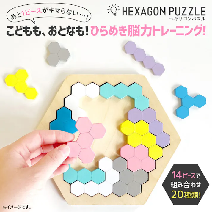 【10点まとめ買い】木製! ひらめき 図形パズル HEXAGON PUZZLE(ヘキサゴンパズル) × 10点 14ピースで組み合わせ20種類!6歳から100歳まで基礎脳力トレーニング! あと1ピースがキマらない・・・! 【送料込み】