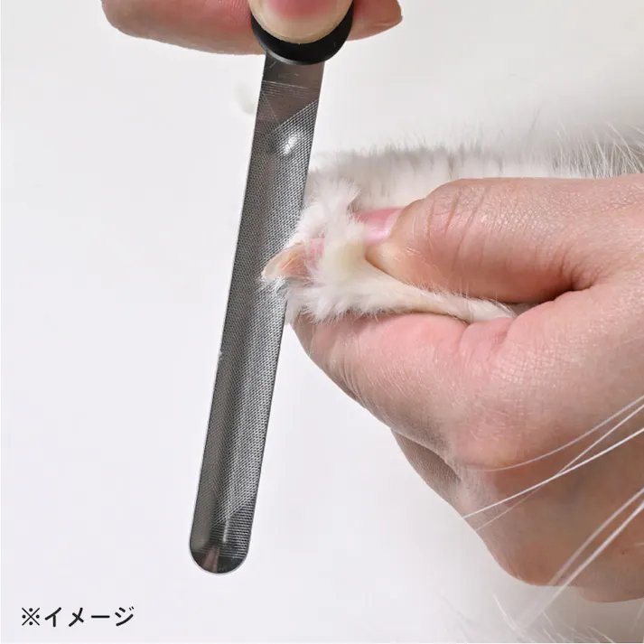【2点まとめ買い】ペット用 カーブつめやすり 2WAY シニア猫&全犬種 PE-003 × 2点 カーブにフィット!つめを逃さず削れる! 仕上げに最適・ソフトタイプ、しっかり削れる・ハードタイプの2WAY♪ 【送料込み】