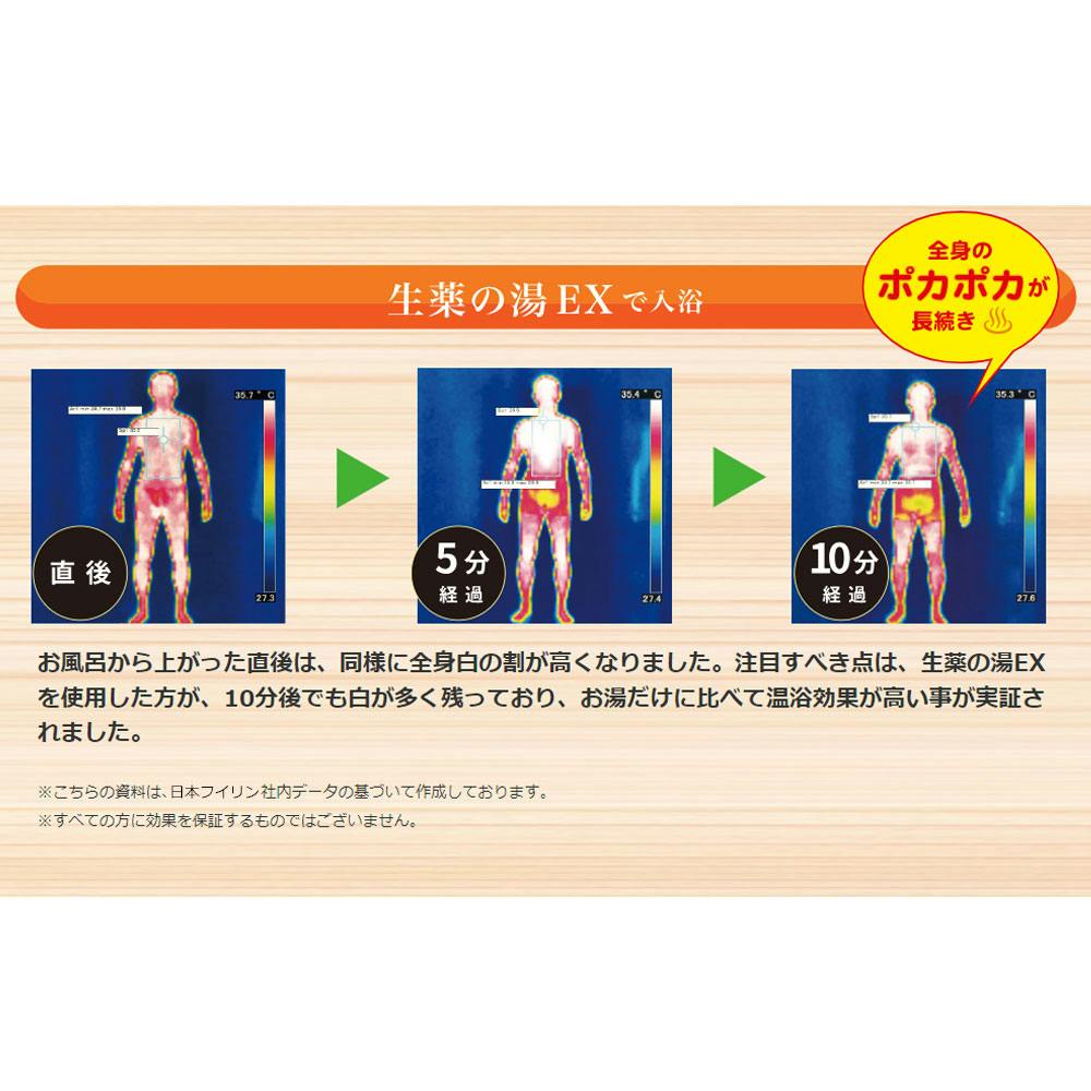 3点まとめ買い】薬用入浴剤 生薬の湯EX ティーバッグ式 30g×10包入 × 3