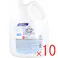 【10点まとめ買い】花王業務用 ビオレU 薬用 泡ハンドソープ マイルドシトラスの香り 4L × 10点 ウイルス・細菌の除去 1プッシュですみずみまで洗いやすい、ながもっち泡! 【送料込み】
