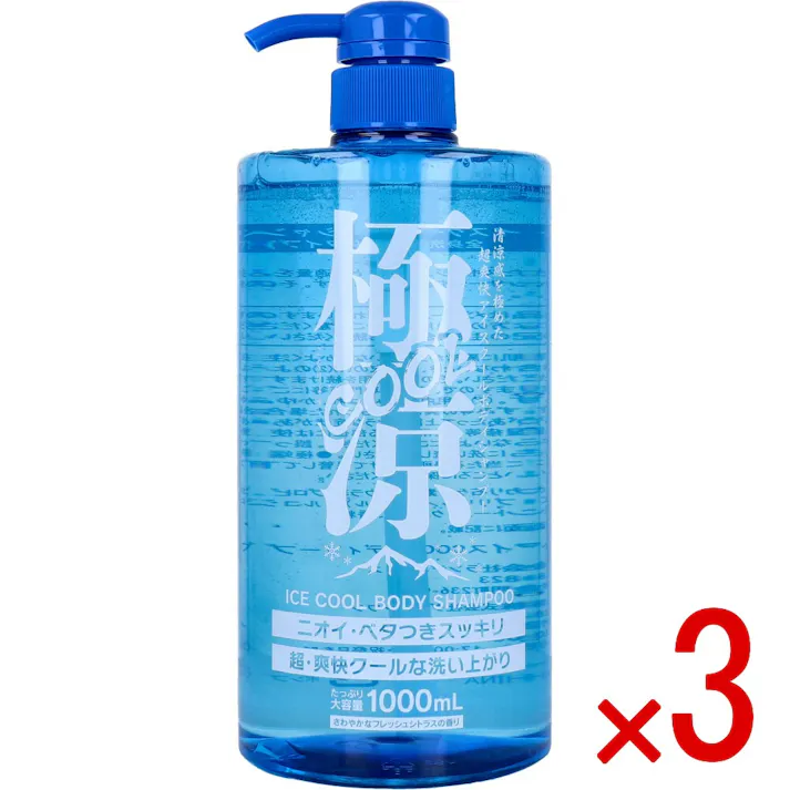 【3点まとめ買い】極涼COOL アイスクールボディシャンプー さわやかなフレッシュシトラスの香り 1000mL × 3点 ニオイ・ベタつきスッキリ。 清涼感を極めた超爽快アイスクールボディシャンプー。 【送料込み】