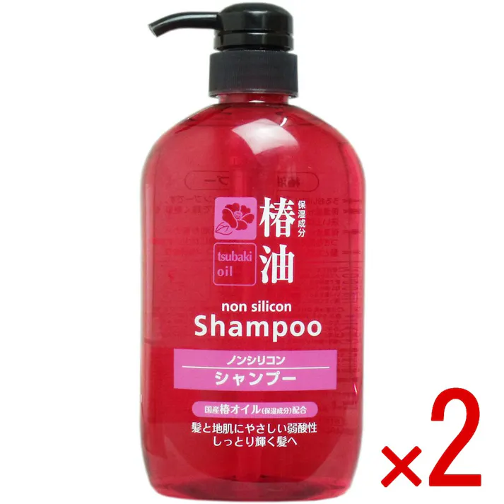 【2点まとめ買い】椿油 ノンシリコンシャンプー 600mL × 2点 髪と地肌にやさしい弱酸性しっとり輝く髪へ♪ うるおい成分温泉水配合のシャンプーです。 【送料込み】