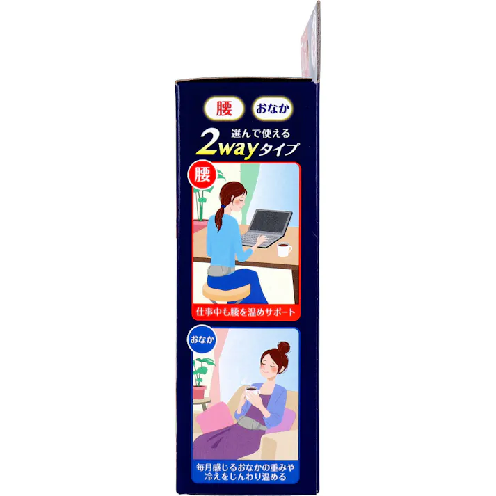 【10点まとめ買い】リラックスゆたぽん 腰・おなか 2wayホット ほぐれる温蒸気 グレージュ 1個入 × 10点 くり返し使える365回 選んで使える2wayタイプ。 【送料込み】