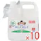 【10点まとめ買い】業務用 キレイキレイ 薬用ハンドソープ 4L × 10点 殺菌+消毒の液体で出るタイプの薬用ハンドソープ! 殺菌成分配合で、手肌を清潔にします! 【送料込み】