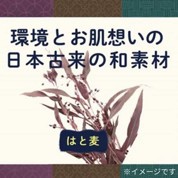 【6点まとめ買い】自然派石けん はと麦 100g×2個パック × 6点 ザラザラが気になるお肌にさらさらな洗い上がり。 オーガニックのハトムギ種子エキス(保湿成分)がお肌をなめらかに潤します。 【送料込み】