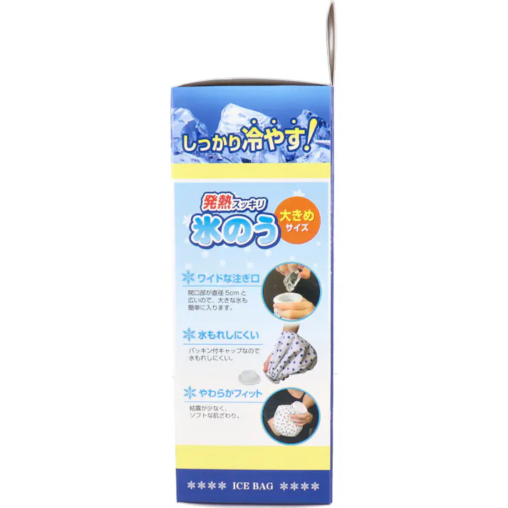 【10点まとめ買い】リーダー 発熱スッキリ 氷のう 大きめサイズ 1個入 × 10点 しっかり冷やす! 急な発熱に! 【送料込み】